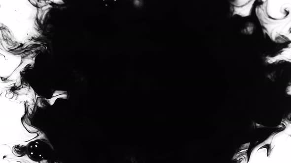 Super Slow Motion Shot of Black Ink Drop Isolated on White Background at 1000 Fps alt