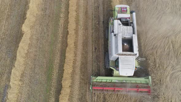 Countryside and Agriculture Flight Over the Field Combine Harvester Removes Oats View From Height alt
