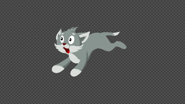 Animated Cat Run Front