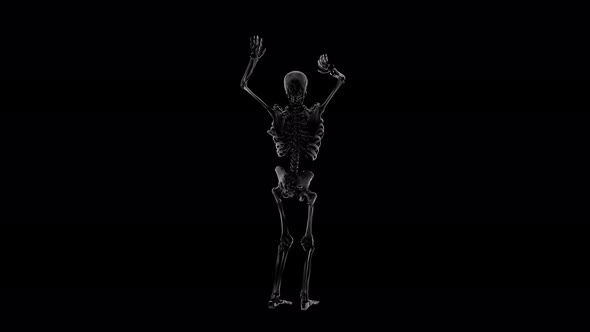 Skeleton Dancing 