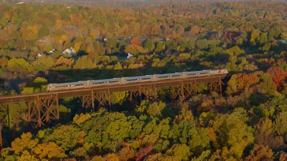 Aerial of train passing over railroad bridge through autumn forest alt