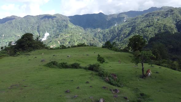 Hills Covered with Green Vegetation are Shown