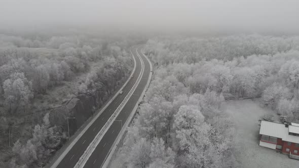 Highway Foggy Winter Forest Aerial Pull Back