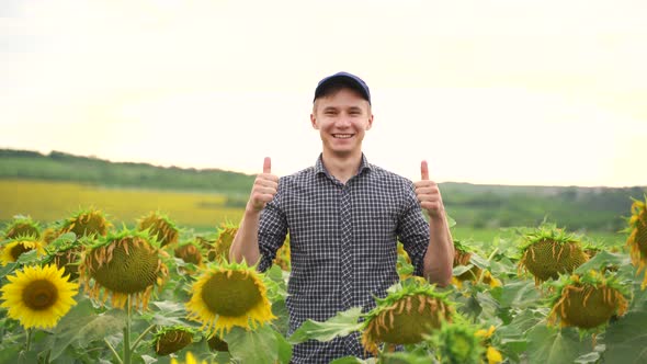 Happy Young Farmer Enjoying Sunflower Production alt