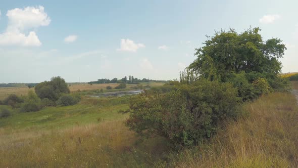 Nature View Background alt