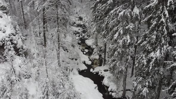 A stream flowing through the winter forest to the waterfall. Aerial view alt