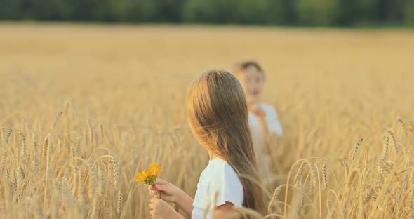 Beautiful Girl Walks Across the Field with Yellow Flowers in Her Hands