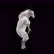 30 White Horse Dancing 4K - VideoHive Item for Sale