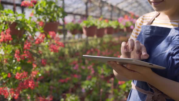 Woman Operates with Tablet Near Pink Flowers in Greenhouse