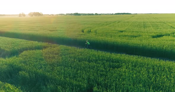 Aerial View on Young Boy, That Rides a Bicycle Thru a Wheat Grass Field on the Old Rural Road alt