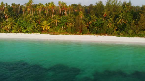 Aerial drone: uncontaminated coastline tropical beach caribbean sea coral reef palm tree woodland alt