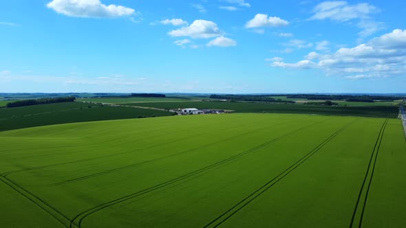Aerial view of endless green harvested crops on Salisbury Plains in rural England alt