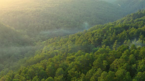 Aerial view on the Beautiful mountains forest