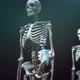 Skeleton Body Main - VideoHive Item for Sale