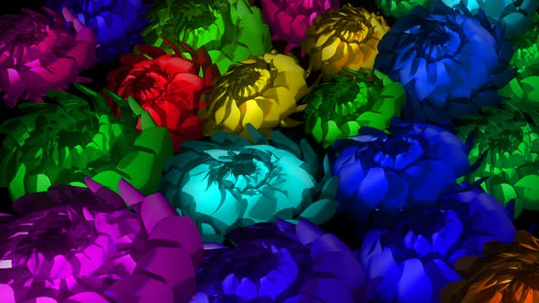 Colored Flowers alt