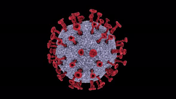 Single Covid-19 Virus Cell