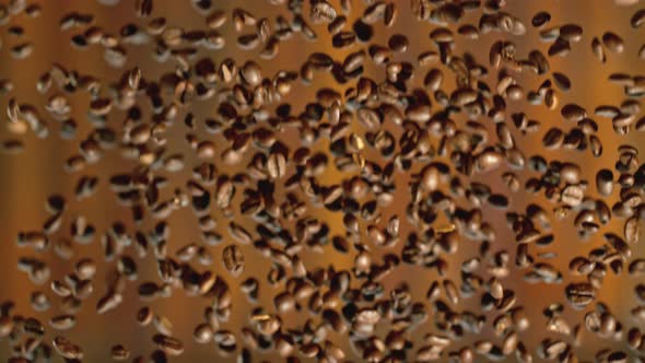 Roasted Coffee Beans Moving Up in Super Slow Motion alt