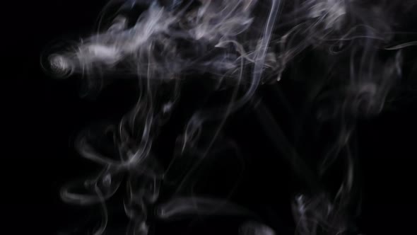 Abstract white smoke isolated on black background, Close up. alt