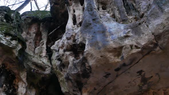 The Cave Grotto in the Forest