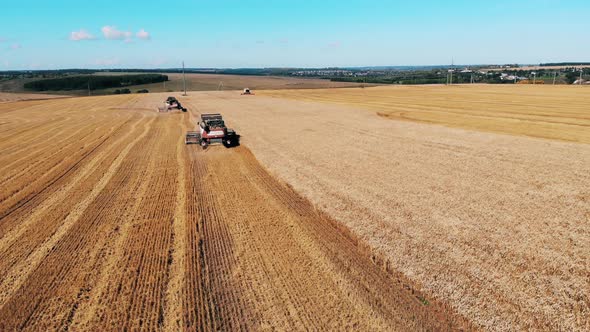 Backside View of Combines Moving Along the Field While Harvesting alt