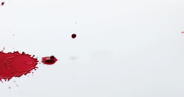 Blood Dripping against White Background, Slow Motion 4K