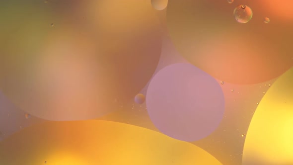 Oil And Water Abstract Background. Colorful Bubbles