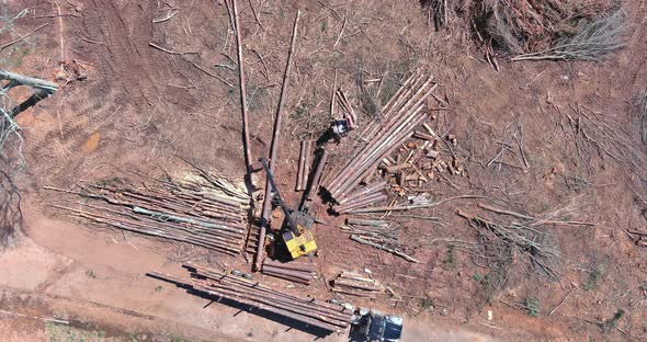 Aerial View of Tractor Hydraulic Manipulator Loading Tree Log with Deforestation Forest for New alt