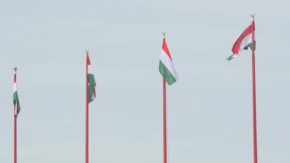 Hungarian flags waving