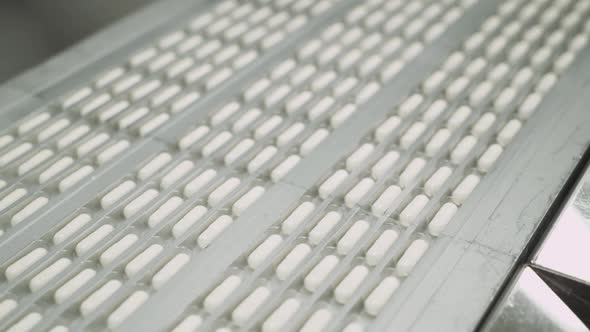 Production of Medicines and Drugs Large Number of Capsules in Motion White Tablets on the Conveyor alt
