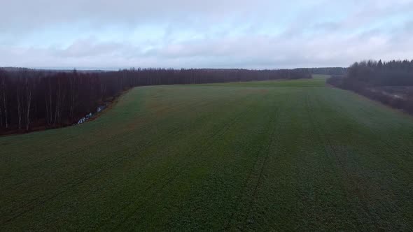 Drone fly over a green field in the countryside on a foggy autumn morning