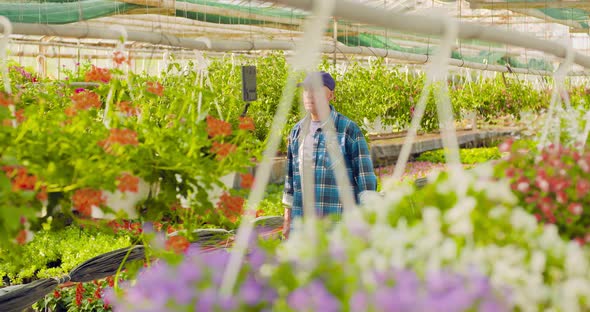 Confident Male Gardener Examining Potted Flower Plant alt