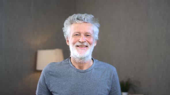 A Grayhaired Caucasian Senior Looks at the Camera Smiles alt