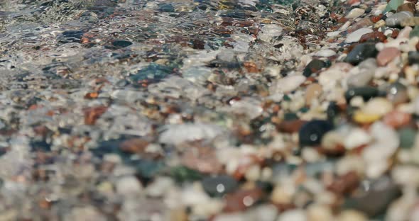 Colorful Sea Stones