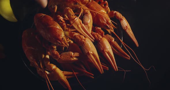 Close Up View of Man Arm Taking Lobsters with Foamy Bear Pouring in Glass and Crisp Chips on