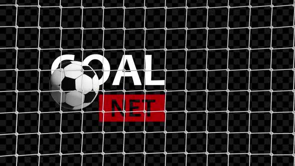 Goal Net