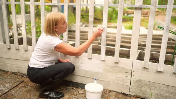Elderly Senior Gardener Woman Paints Wooden Fence White Color at Summer Farm Countryside Outdoors