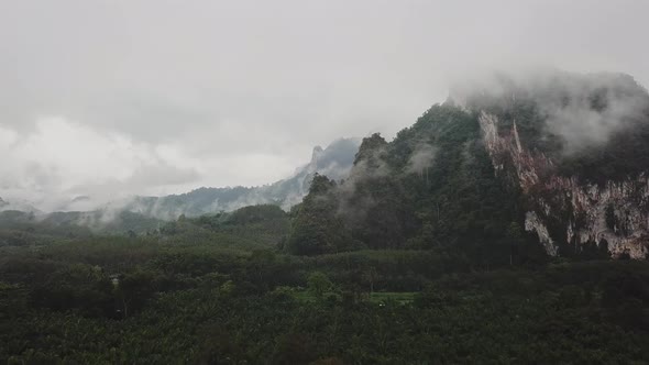 Flying Above the Tropical Valley with Palm Trees Clouds to the Green Mountains on a Rainy Day