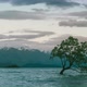 That Wanaka Tree at Sunrise Time Lapse, Wanaka, New Zealand - VideoHive Item for Sale