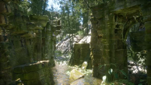 Ruined Ancient Stone House Overgrown with Plants and Ferns in Dense Green Forest alt