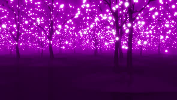 Magic garden in lights