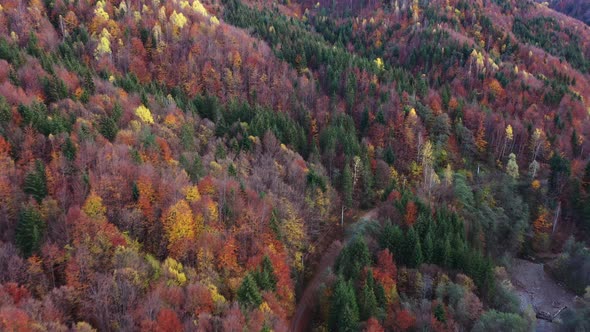 Aerial Images With  Wild Forest In Autumn. alt