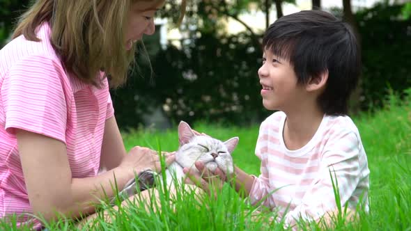 Asian Mother And Her Son Playing With Scottish Cat In The Park Outdoor alt