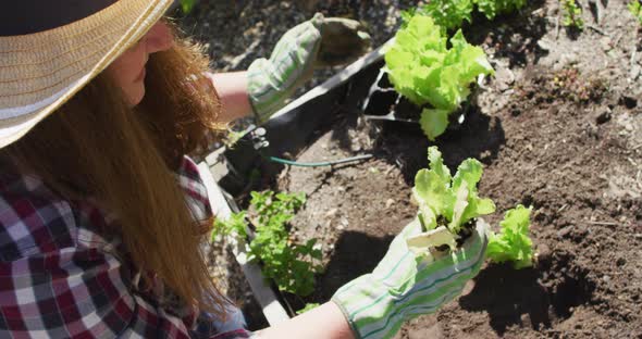 Happy caucasian woman wearing hat, gardening and smiling in garden alt
