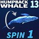 Humpback Whale 13 - VideoHive Item for Sale