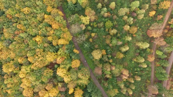 Aerial Top View Over Alpine Forest Durring Sunset in Autumn