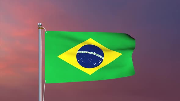Brazil Flag