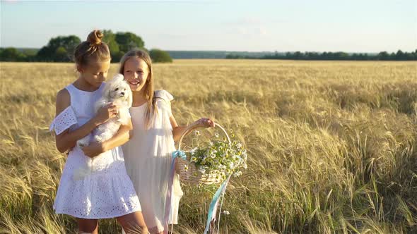 Happy Girls in Wheat Field. Beautiful Girls in White Dresses Outdoors