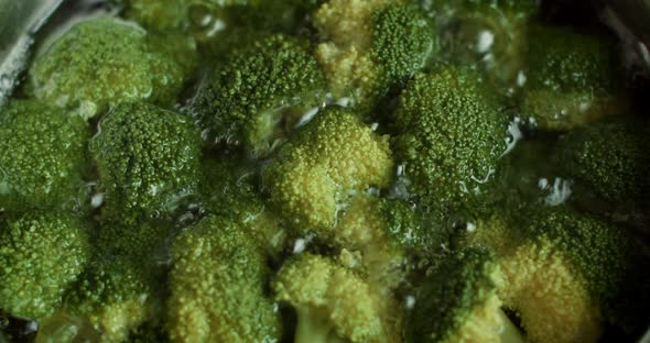 Boiling Broccoli at Pan on Induction Stove Top Panel alt