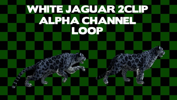 White Jaguar 2 Clip Loop