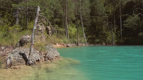 Rocky Shore of Emerald Lake with Old Dry Trees
